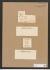 Campylodiscus humilis Grev. (de-Toni-Nr.: Genus 57, Species 2520) Zeichnungen Sammlung Grunow Nr. 5028 (NHMW-BOT-W0373285)